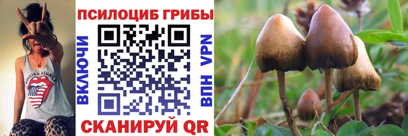 ОМГ ОМГ ссылки наркотики Лакинск Псилоцибиновые грибы MAGIC MUSHROOMS